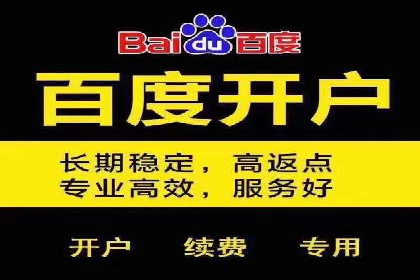 探索SEM优化托管的成功案例与策略